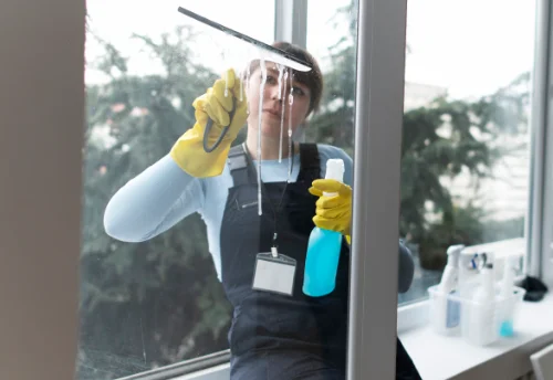 Nettoyage de vitres intérieures et extérieures à Voisines